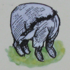 Avatar for David Palmer from gravatar.com