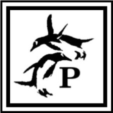 Avatar for pietro from gravatar.com