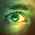 Avatar for Ofer.Koren from gravatar.com