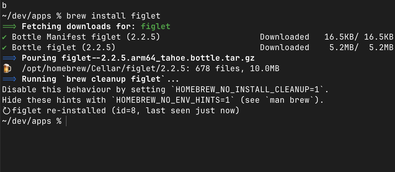 why show — full details for a single install