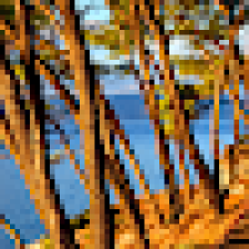 Avatar for Drew Fitzgerald from gravatar.com