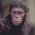Avatar for tleo from gravatar.com