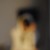 Avatar for cynicdog from gravatar.com