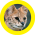 Avatar for AzukiOtter from gravatar.com