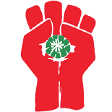 Avatar for stylesuxx from gravatar.com