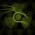 Avatar for hridaykeswani from gravatar.com