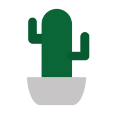 Avatar for CodingCactus from gravatar.com
