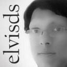 Avatar for elvisds from gravatar.com