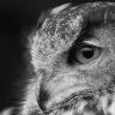 Avatar for Denis from gravatar.com