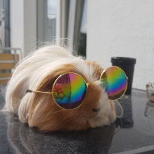 Avatar for Caleb Xavier Berger from gravatar.com