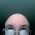 Avatar for gulielmus from gravatar.com