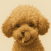Avatar for Hari82 from gravatar.com