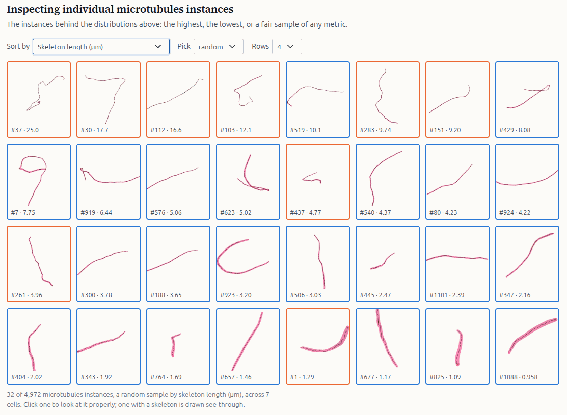 The instance gallery, microtubules sorted by skeleton length