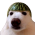 Avatar for melon-dog from gravatar.com