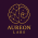 Avatar for aureon from gravatar.com
