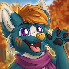 Avatar for Jakub Rohla from gravatar.com