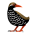 Avatar for shonansurvivors from gravatar.com