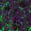 Avatar for kpandit from gravatar.com