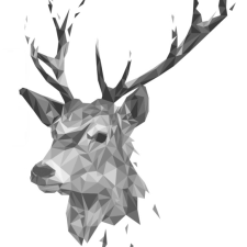 Avatar for jjfawkes from gravatar.com