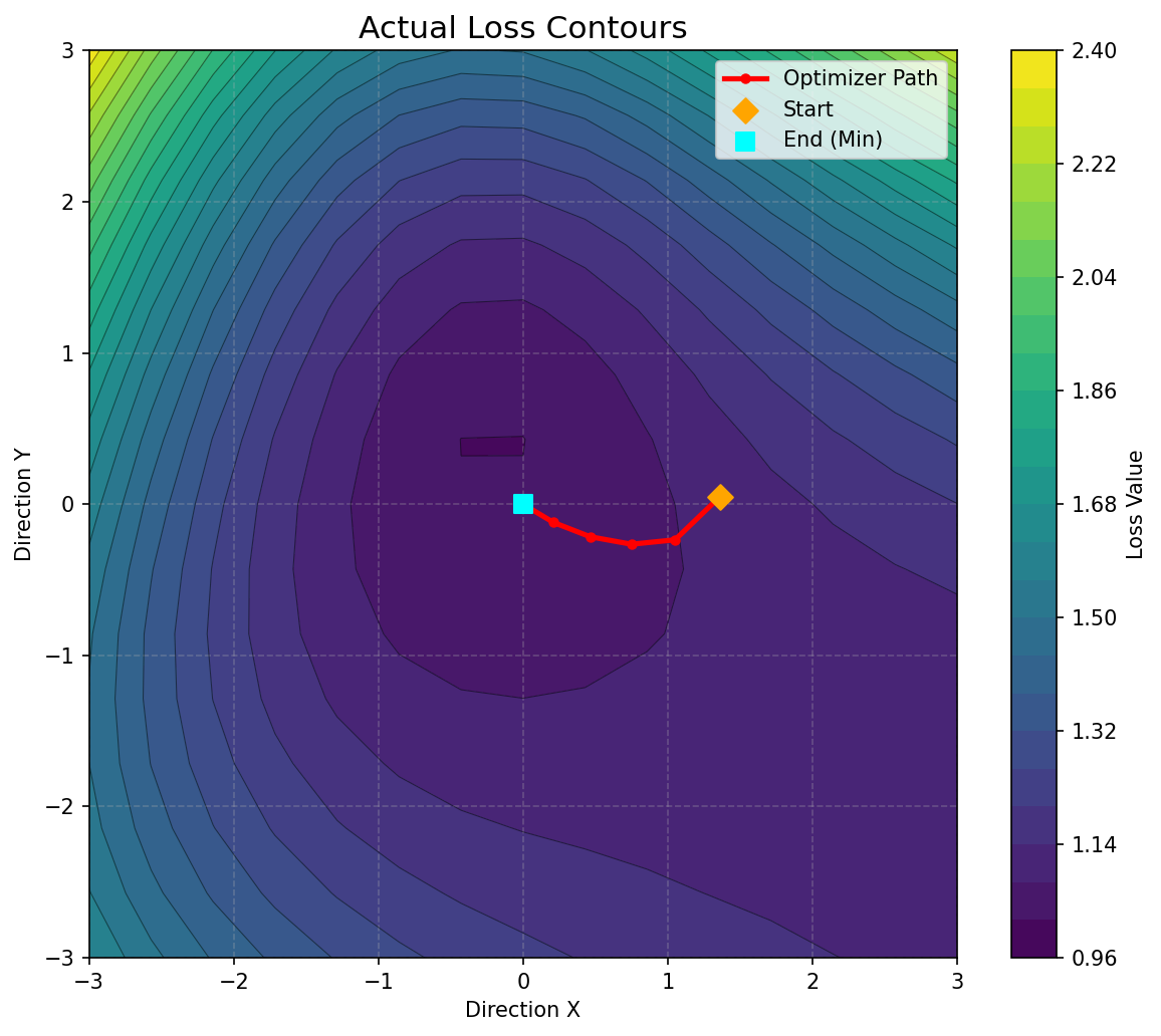 Actual 2D Loss Contours