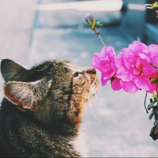 Avatar for Russ Lamb from gravatar.com