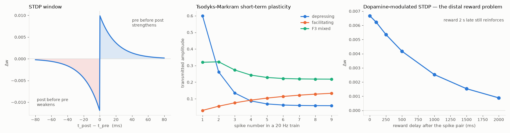 Plasticity