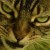 Avatar for kasshuang from gravatar.com
