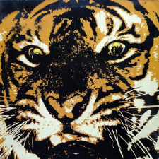 Avatar for Zaid >_ from gravatar.com