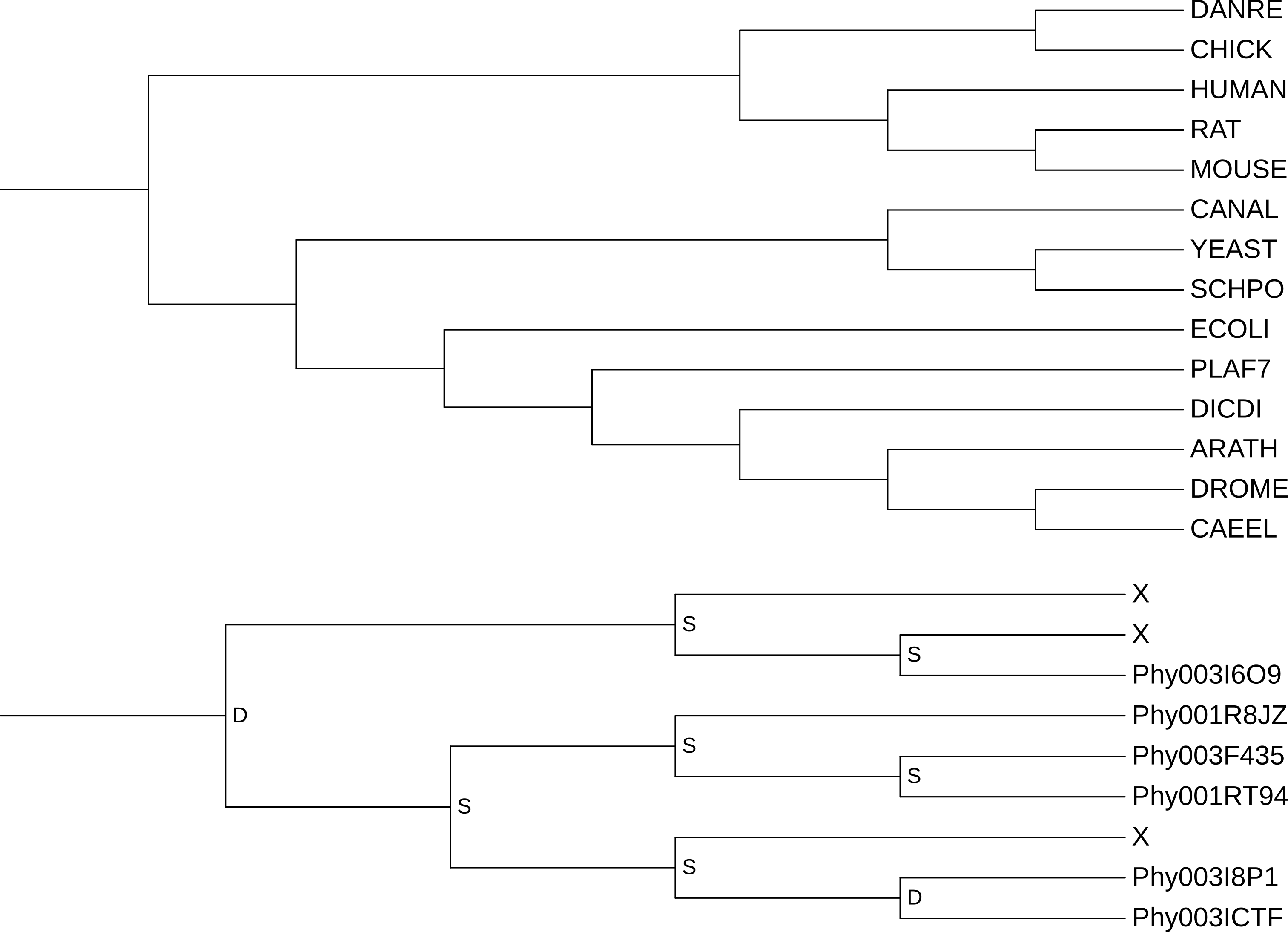 Example trees