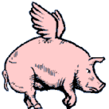 Avatar for ANovokmet from gravatar.com