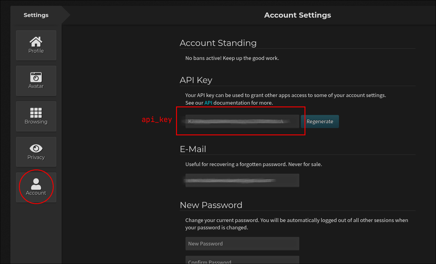 api_key