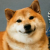 Avatar for kim_doge from gravatar.com