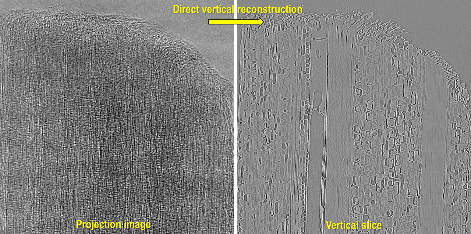 vertical_slice1