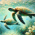 Avatar for twoturtles from gravatar.com