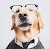 Avatar for maxzs from gravatar.com