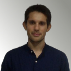Avatar for Domenico from gravatar.com