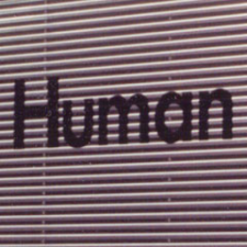 Avatar for Rob B from gravatar.com