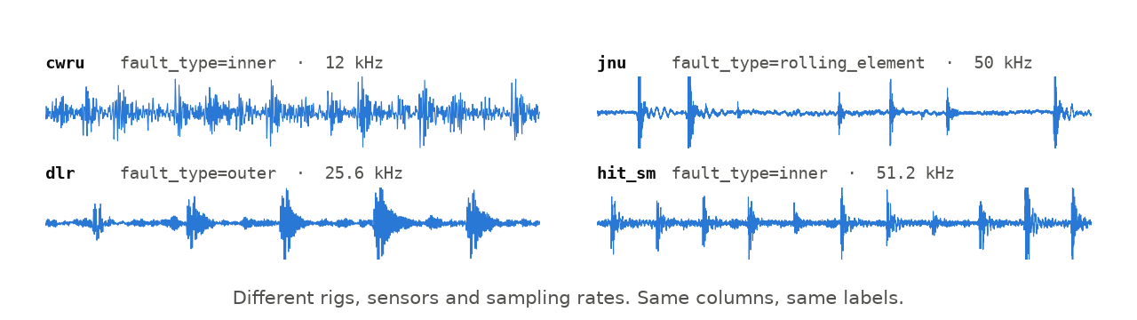 100 ms of raw vibration from four datasets (cwru, jnu, dlr, hit_sm), sampled at 12 to 51.2 kHz, each labeled with the same metadata columns (fault_type=inner, rolling_element, outer)