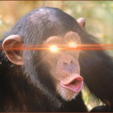 Avatar for Dave M. from gravatar.com