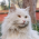 Avatar for is4res from gravatar.com