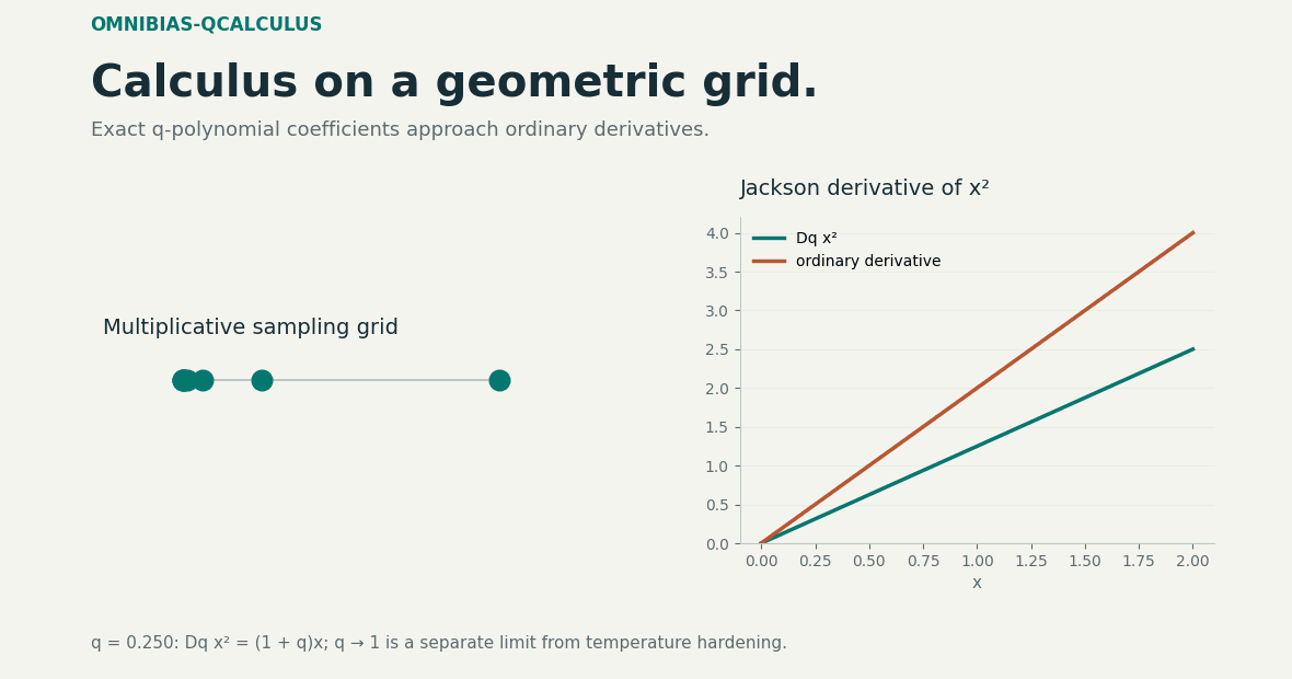Calculus on a geometric grid.