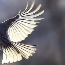 Avatar for Alireza Nourian from gravatar.com