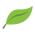 Avatar for freshbooks from gravatar.com