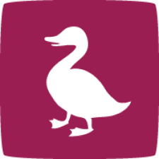 Avatar for ducksboard from gravatar.com