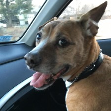 Avatar for Doug Rohm from gravatar.com