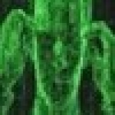 Avatar for code vision from gravatar.com