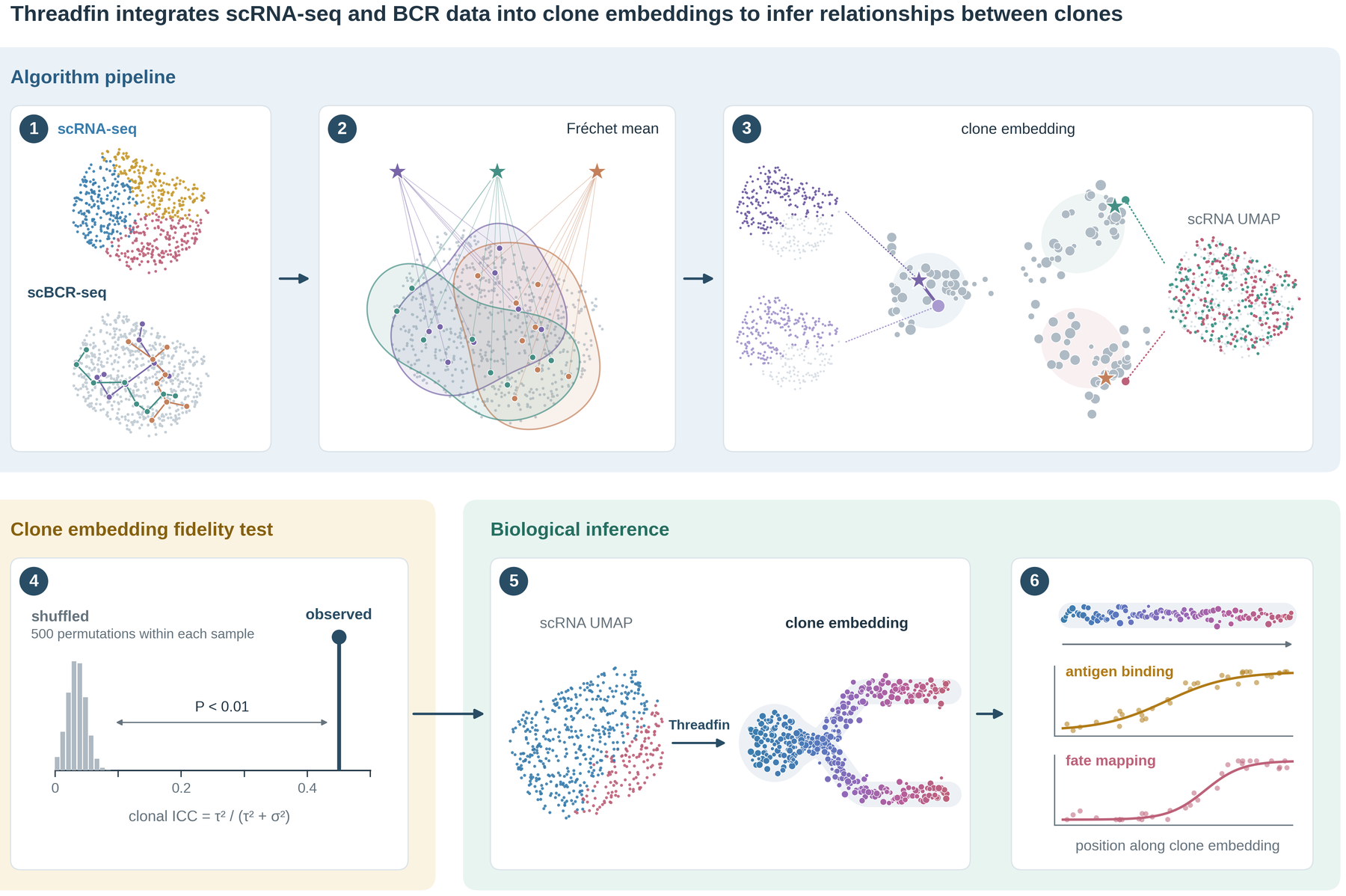 Threadfin workflow
