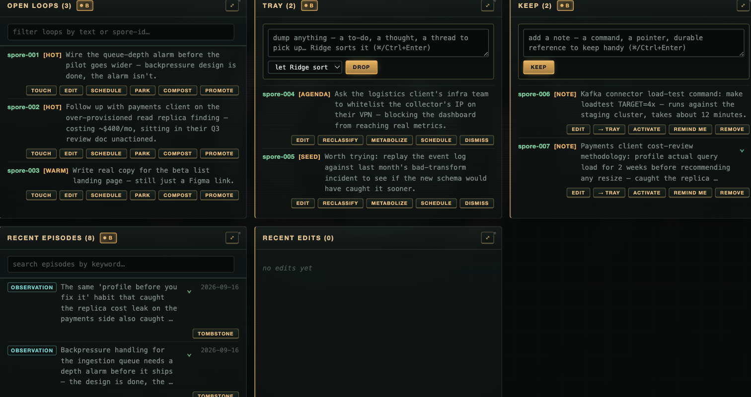 The Operate zone — Open Loops, Tray, and Keep panels, each editable from the browser.