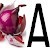 Avatar for CekLuka from gravatar.com